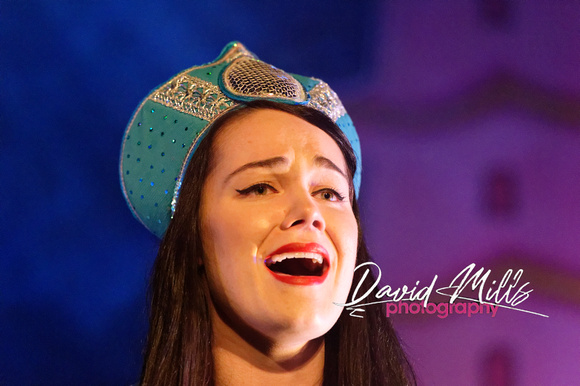 Aladdin 2014--24.jpg