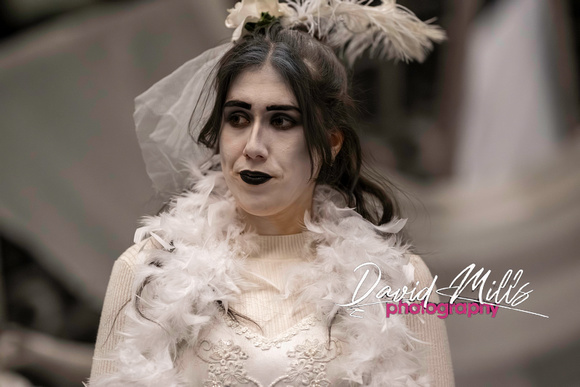 Addams Family--22