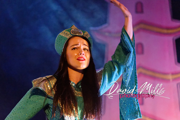 Aladdin 2014--23.jpg