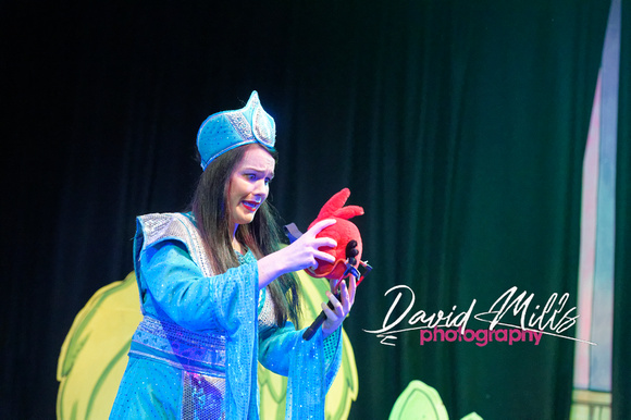 Aladdin 2014--15.jpg
